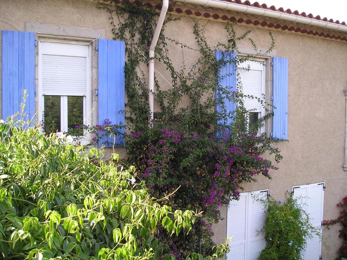 Gite Mamie Laurence Gruissan Εξωτερικό φωτογραφία